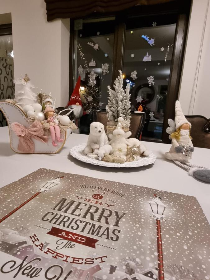 Pensiunea Ellemar Vatra Dornei Esterno foto
